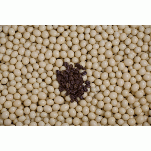 Choc Coated Coffee Beans - White